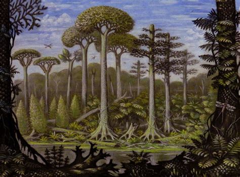 huge trees in the carboniferous era